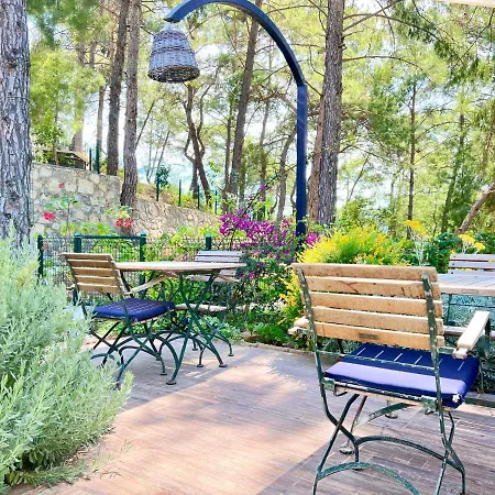 Forest Largely Designed Private With Pool And Garden Villa *