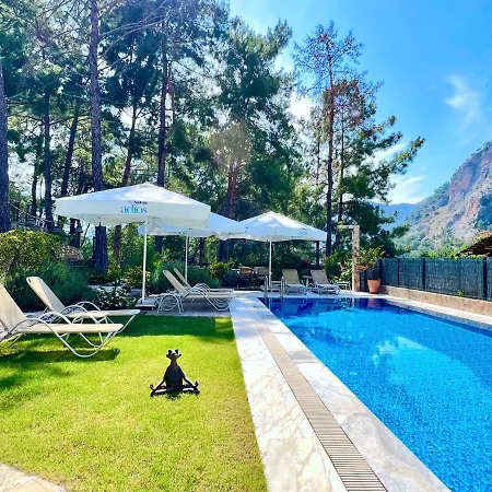 Villa Forest Largely Designed Private With Pool And Garden