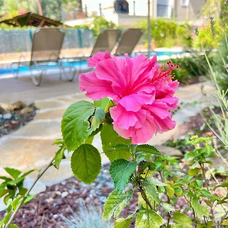 Forest Largely Designed Private With Pool And Garden * Göcek