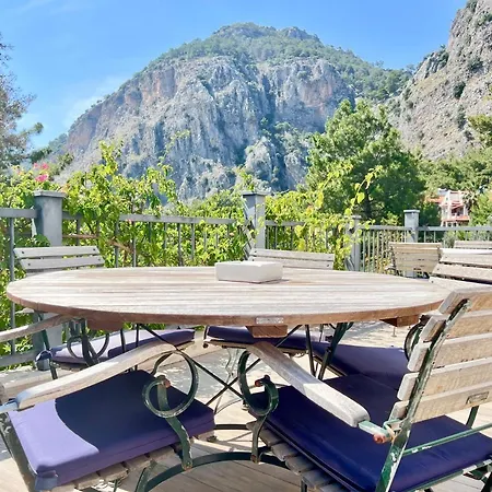 Forest Largely Designed Private With Pool And Garden Villa Göcek